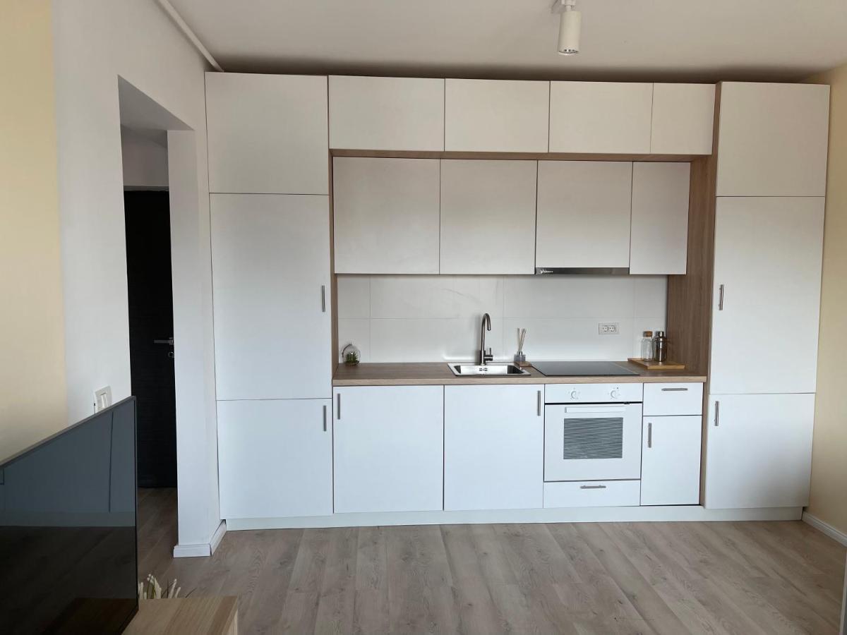 Diamond Luxury Apartment Near Presidential Palace 布加勒斯特 外观 照片