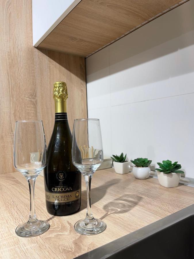 Diamond Luxury Apartment Near Presidential Palace 布加勒斯特 外观 照片